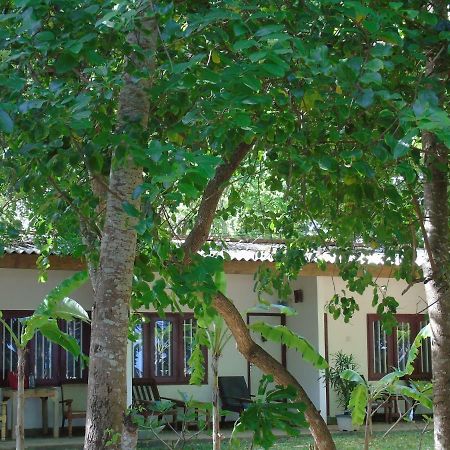 Talalla Coconut Hotel Extérieur photo