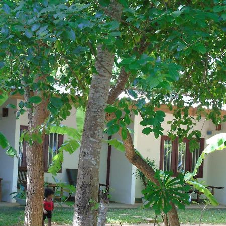 Talalla Coconut Hotel Extérieur photo