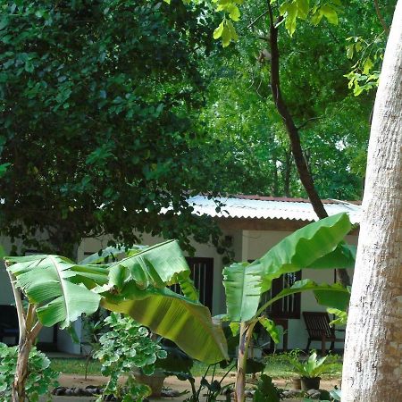 Talalla Coconut Hotel Extérieur photo
