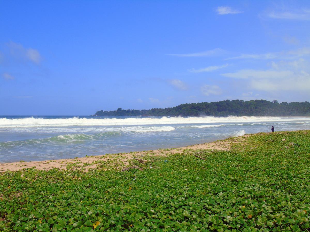 Talalla Coconut Hotel Extérieur photo