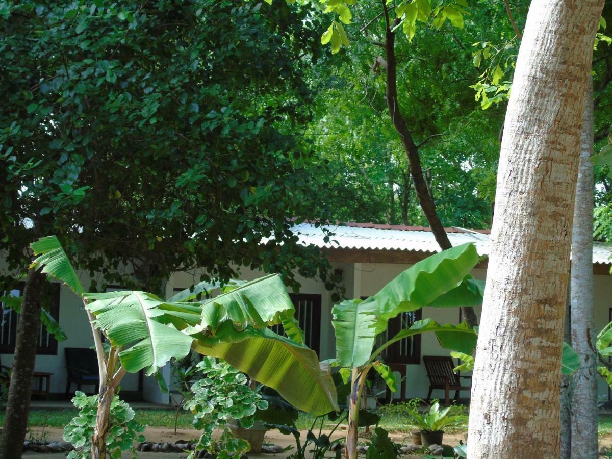 Talalla Coconut Hotel Extérieur photo