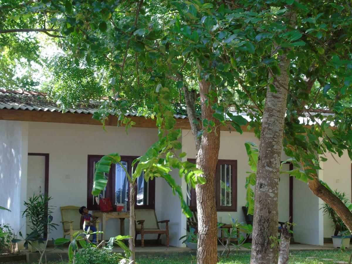Talalla Coconut Hotel Extérieur photo