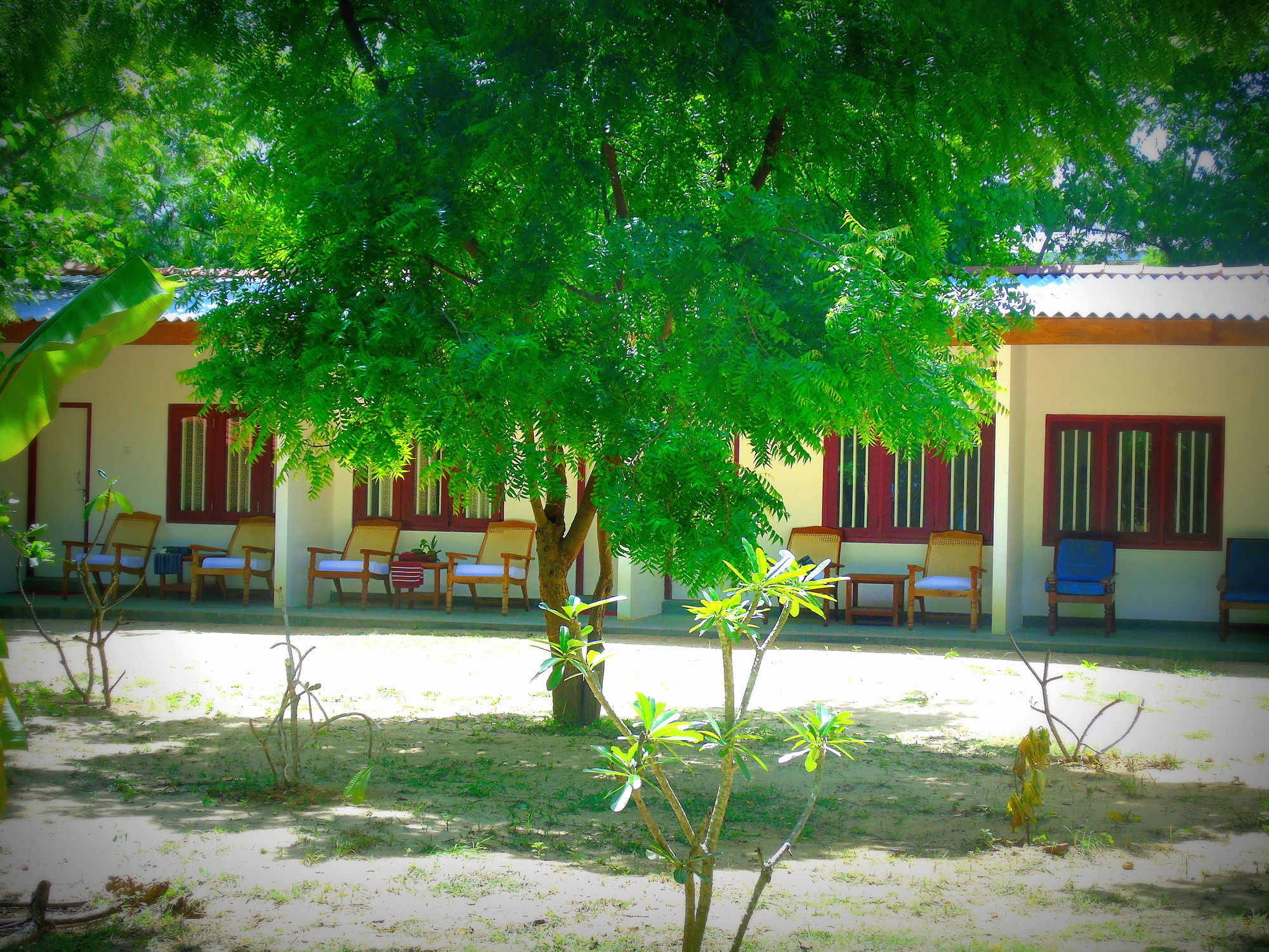 Talalla Coconut Hotel Extérieur photo
