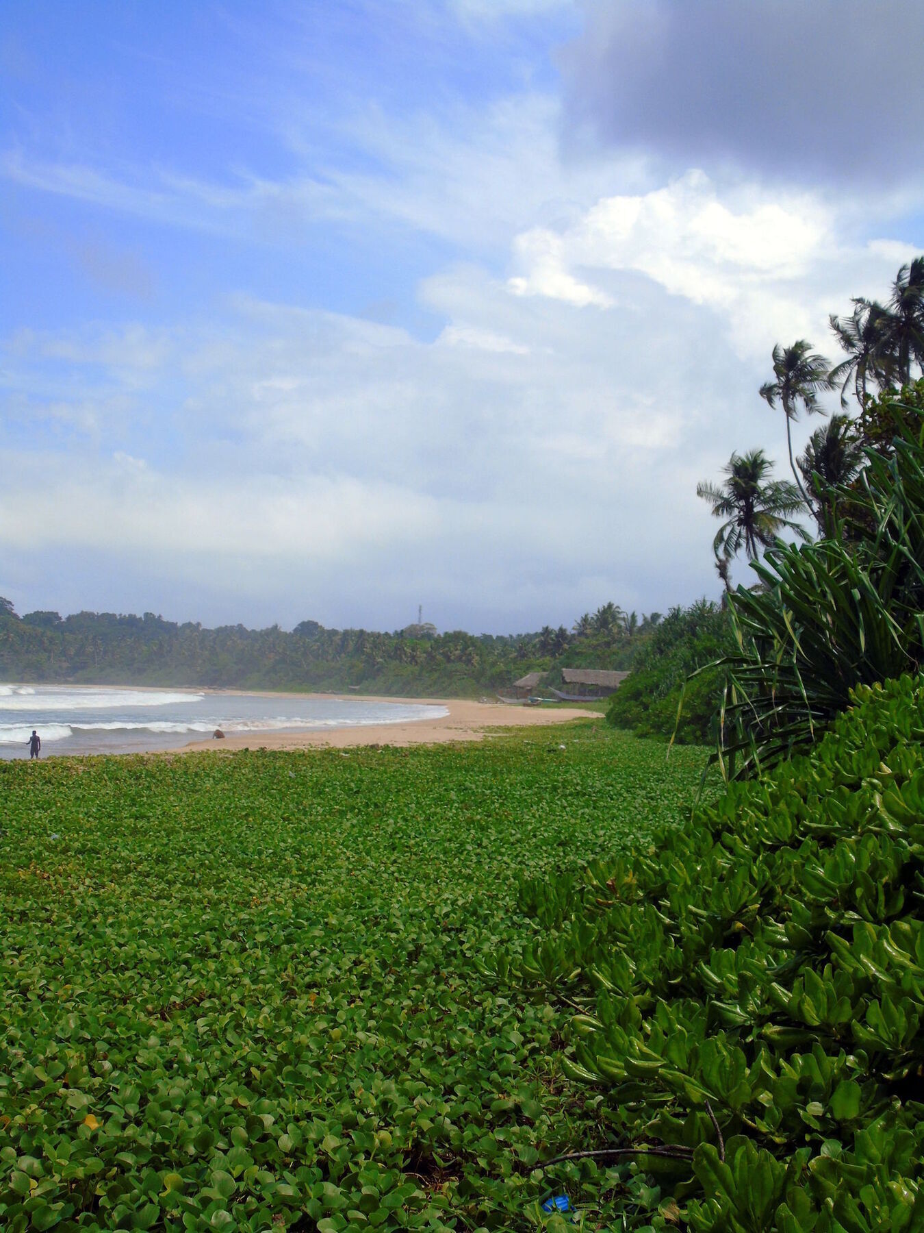 Talalla Coconut Hotel Extérieur photo