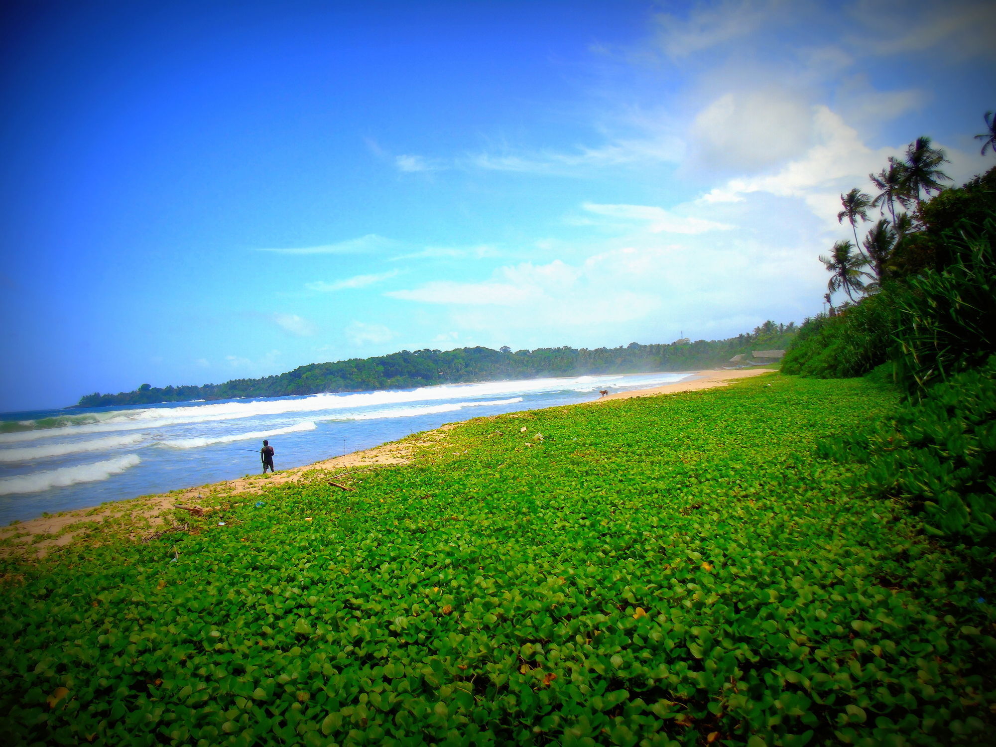 Talalla Coconut Hotel Extérieur photo